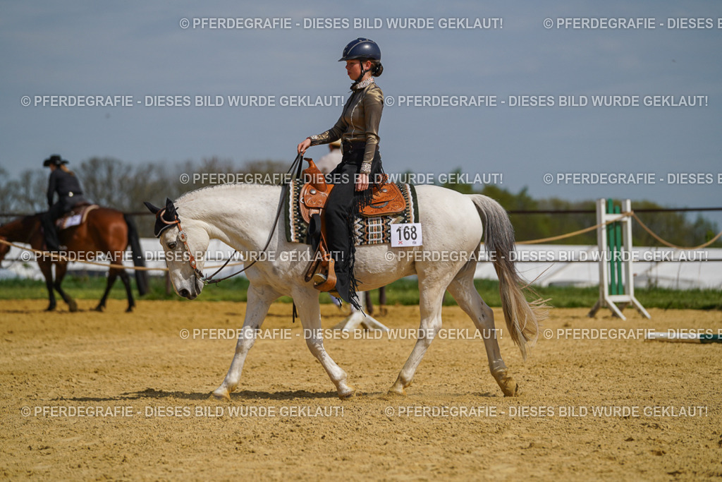 DSC04769 | Pferdegrafie