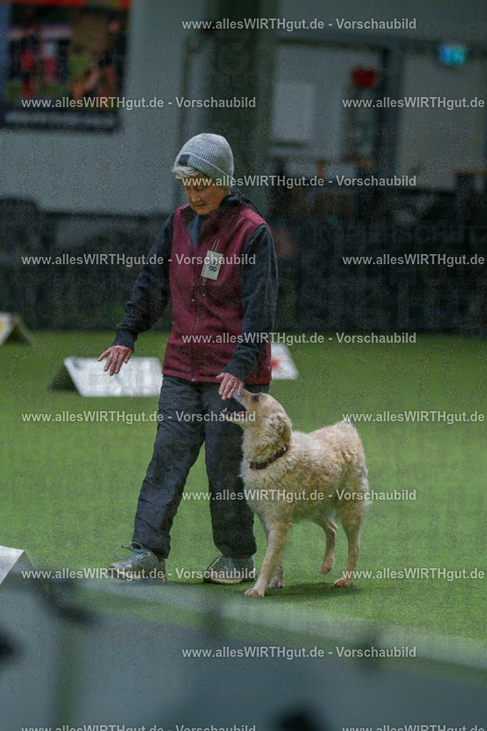 7R507998 | Professionelle Tierfotografie in Mönchengladbach von Daniel Wirth (allesWIRTHgut). Liebevolle & natürliche Bilder von Hunden & Katzen für unvergessliche Erinnerungen.