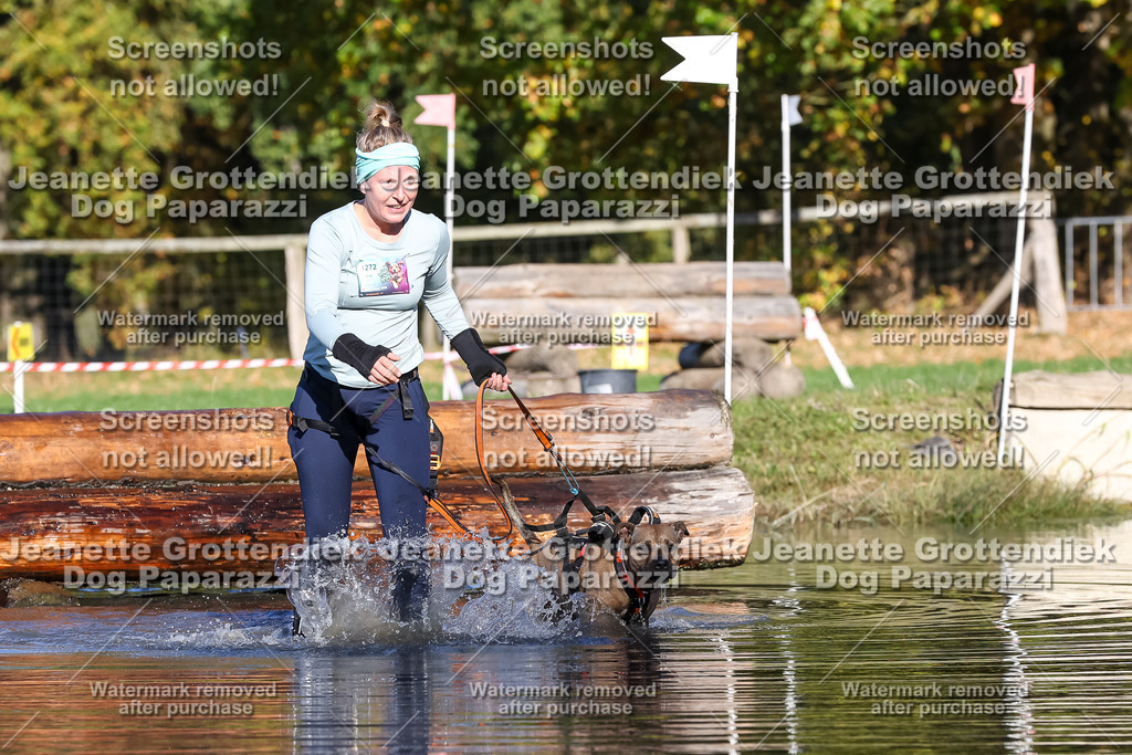 Dog Paparazzi - Strongdog 10-25-8878 | Dog Paparazzi Jeanette Grottendiek Fotografie & Videografie - Realisiert mit Pictrs.com