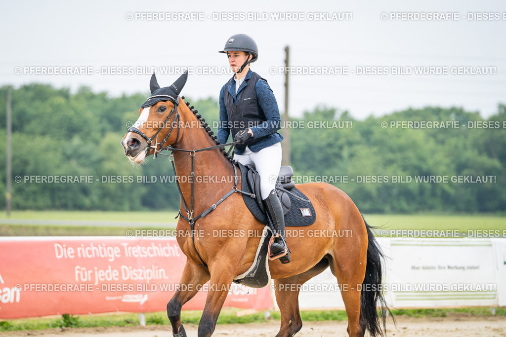 DSC00064 | Pferdegrafie