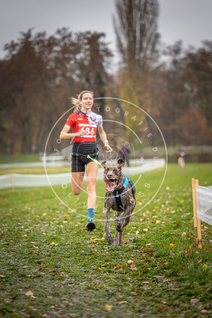 CaniXpix_DV3A8925 | Hundefotografie, Tierfotograf, Pfotenfotografie, Fotoshooting Hund, Hunde Portrait, Hundesport, Hundeportraits, Heideshooting, Hunde, Sportfotograf, Hundefotograf, Turnierhundsport, THS,  - Realisiert mit Pictrs.com