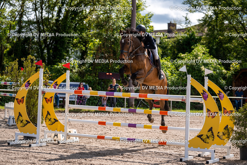 Eppelheim Tag 3-331 | dv-media-shop - Realisiert mit Pictrs.com