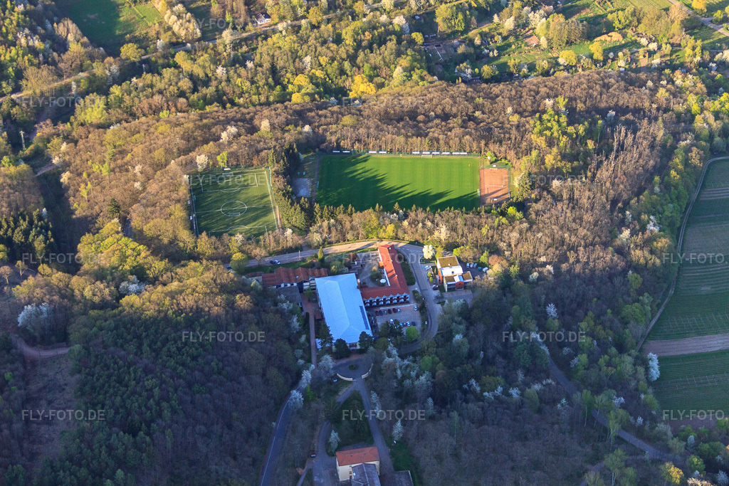 Luftbild: Sportschule Edenkoben und Trainingsplätze des Südwestdeutscher Fußballverband e.V. in Edenkoben im Bundesland Rheinland-Pfalz in Deutschland.Foto: IMG_56673.jpg vom 25.04.2013 durch Werner Riehm/FLY-FOTO.deSportschule EdenkobenSWFV- | SWFV