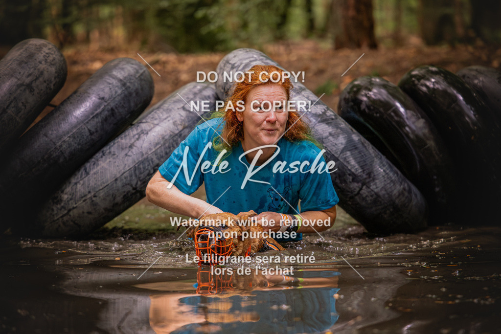 nelerasche_SaWingst1000-1030_269 | nelerasche