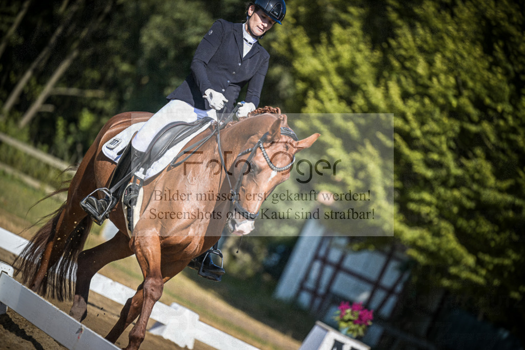 DOS_1989 | Entdecke hochwertige Reitturnierfotos von Foto Oger. Professionell, emotional und authentisch – jetzt Lieblingsmomente im Shop bestellen.Deutschlandweite Turnierfotografie. - Realisiert mit Pictrs.com