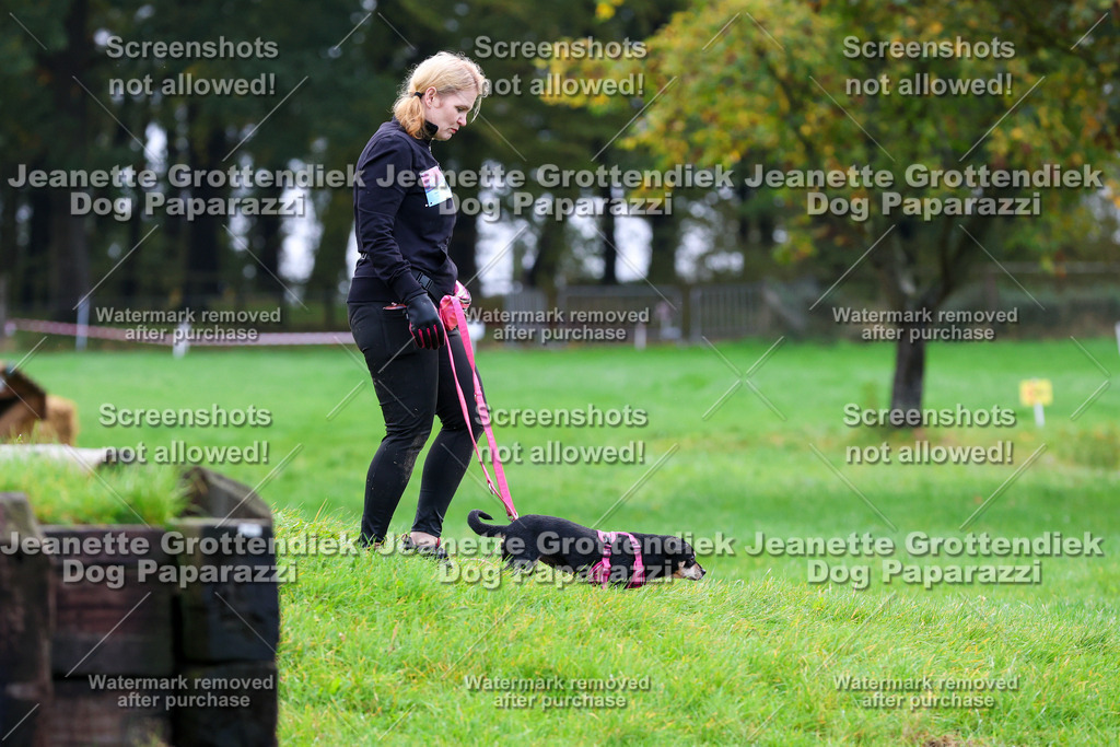 Dog Paparazzi -  SD1026-1131 | Dog Paparazzi Jeanette Grottendiek Fotografie & Videografie - Realisiert mit Pictrs.com