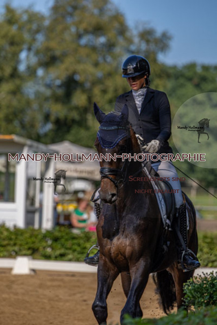 15.8.25 D1 RPF 3j (194 von 255) | mandyhollmannphotographie