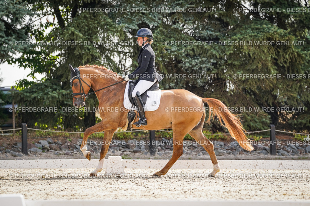 DSC06990 | Pferdegrafie