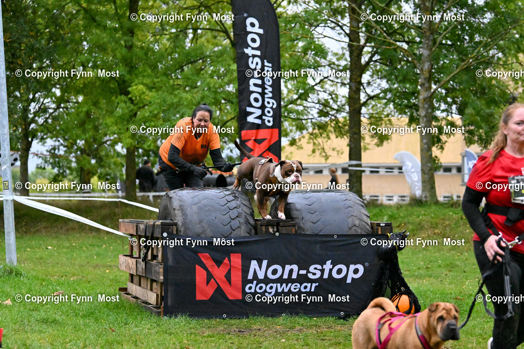 DSC_2478 | Hallo und herzlich Willkommen auf meiner Shop-Seite Fynn Most.

Ich wünsche Dir viel Spaß beim stöbern durch die Bilder, wenn Du Fragen hast oder Bilder vermisst, kannst du mir gerne eine Nachricht schreiben. - Realisiert mit Pictrs.com
