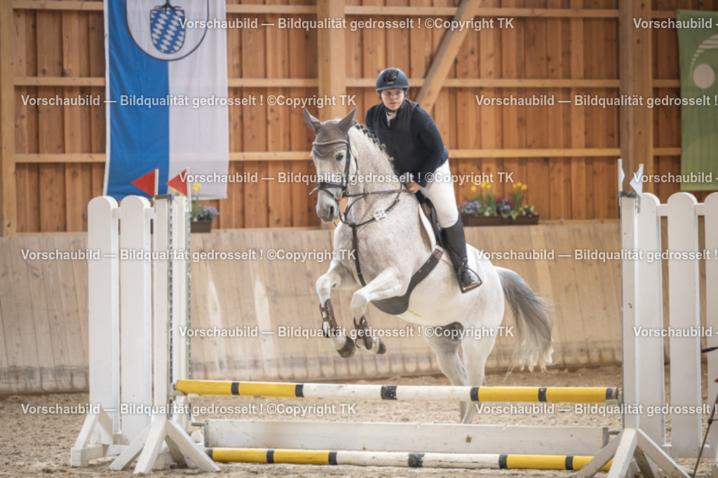 _D5A0054 | Emotionale Pferde- & People-Fotografie rund um Heidelberg, Leimen & Umgebung. Natürliche Fotos von Pferd, Mensch & Familie. Jetzt Termin sichern!