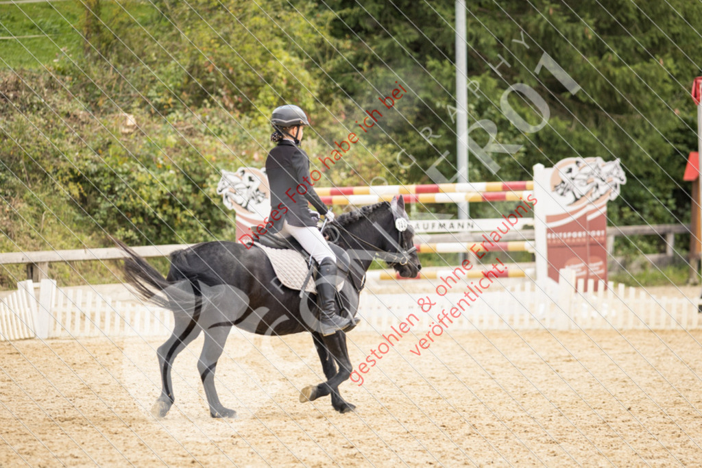 CON_0449 | Sport-, Event- und Tierfotos in Profiqualität. Einfach auswählen, bestellen und herunterladen. Dein Moment – perfekt festgehalten.
