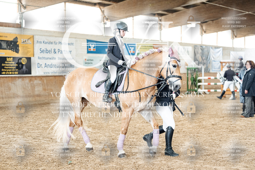 CK905745 | Turnierfotografie Pferdefotografie Trier Rheinland-Pfalz Pferdesport Reitsport Tierfotografie Sportfotografie Pferdevideo Pferdevideografie Equestrianvideography equestrianphotography  - Realisiert mit Pictrs.com