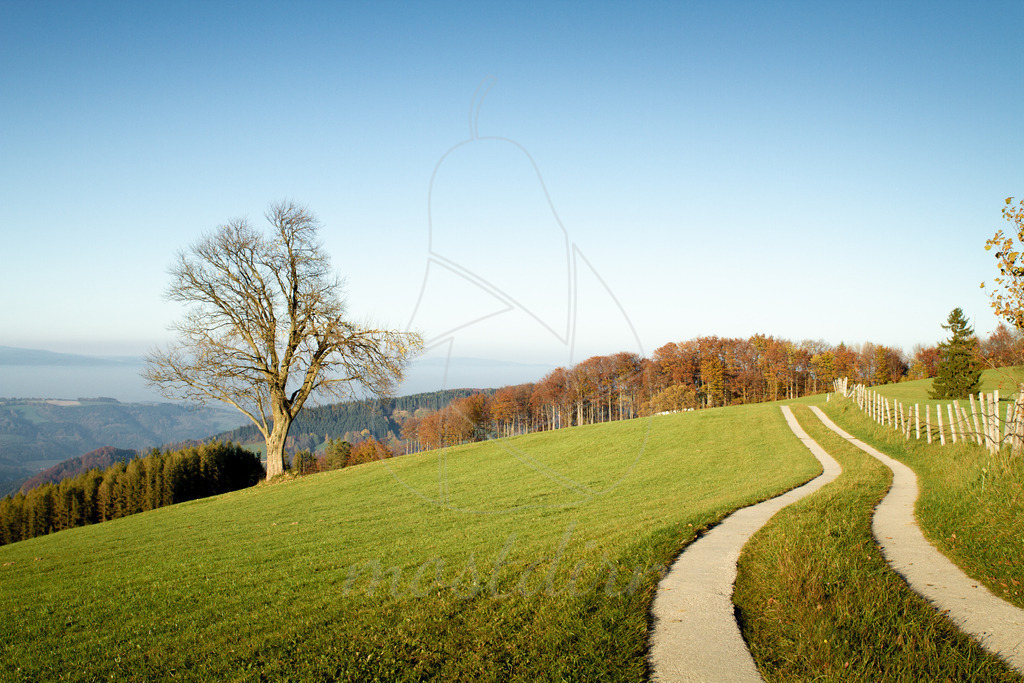 Der Weg ist das Ziel | Bei Veröffentlichung des Bildes ist eine Namensnennung wie folgt erforderlich: 
Foto: Mostdirn Irmgard Wieser - Realisiert mit Pictrs.com