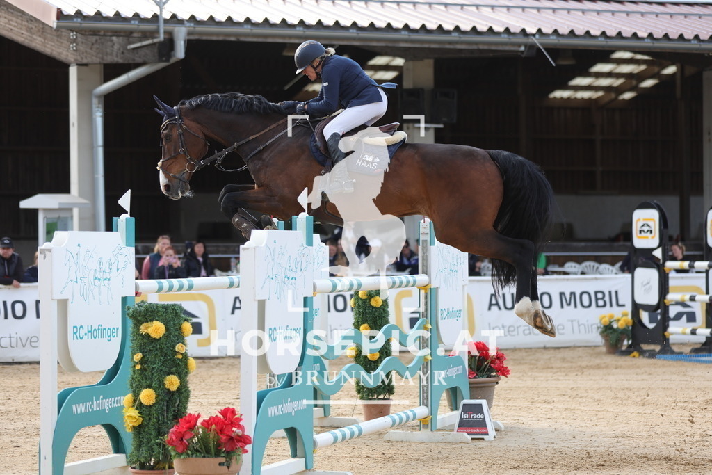 0P6A9729 | Willkommen bei Brunnmayr - Design & Fotografie – Ihrem Spezialisten für Reitturniere und Pferdeveranstaltungen in Oberösterreich, Salzburg und Bayern! Seit über 17 Jahren sind wir leidenschaftlich dabei.