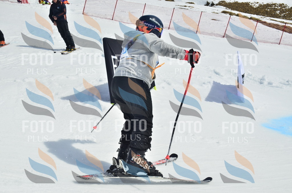 _ELE1519 | holidayphoto