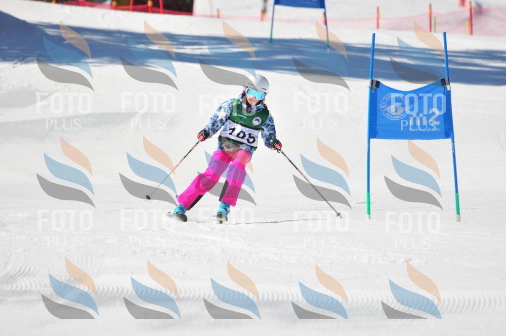 C3622 | holidayphoto