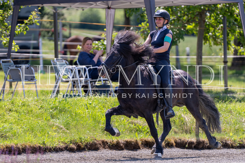 KAI04631 | Ihr sucht einen Fotografen für eure nächste OSI? Ich begleite auch euer Turnier für Islandpferde fotografisch.  - Realisiert mit Pictrs.com