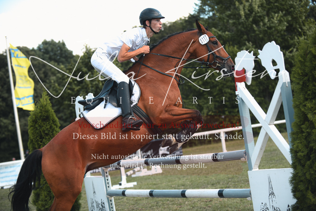 DSC_6912 | Pferde- und Turnierfotografie in Westsachsen. Pferdeportraits, Auftragszeichnungen und intuitive Kunst.