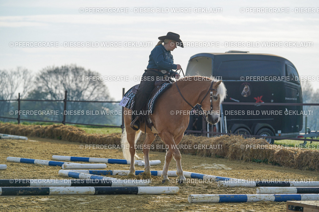 DSC00305 | Pferdegrafie