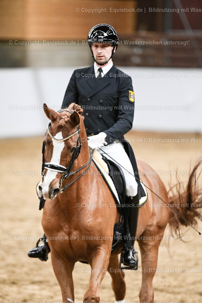 20260307_Hengstvorstellung-Marbach_0321 | equistock