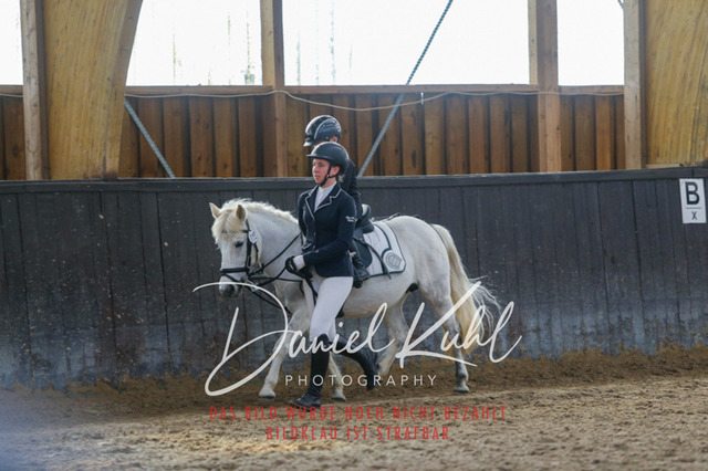 IMG_1278 | Turniersportfotografie; Pferdefotografie; Dressurfotografie