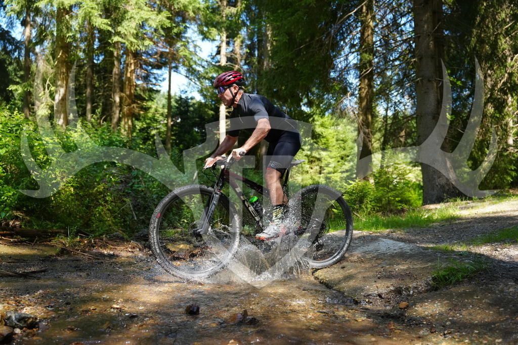 FC101797 | Fotogalerie der Treibjagd im Dunkelwald - Dein MTB Etappenrennen im Erzgebirge - Realisiert mit Pictrs.com
