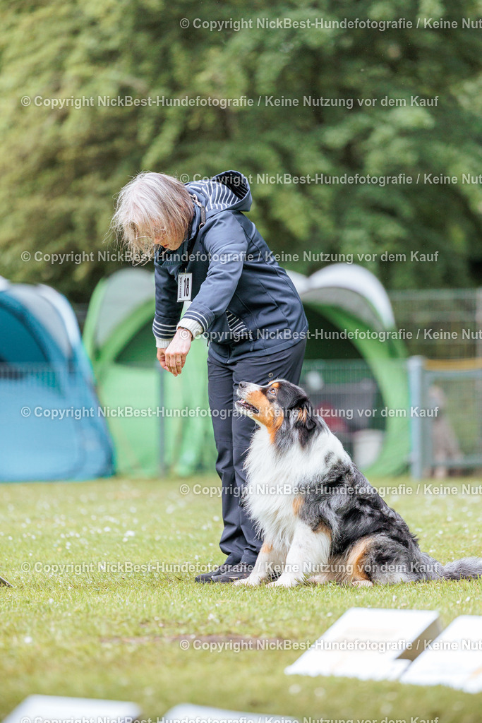 RO-Blumenthal-2026-Nickbest-Hundefotografie-4382 | Dein Hund! Dein Moment! Deine Erinnerungen! Hundefotografie in Bremen Blumenthal. Ich fange die besonderen Momente deines Vierbeiners ein – ob Indoor mit Blitzanlage oder in der freien Natur. Sicher dir dein Moment und dein Termin für eure Erinnerungen.