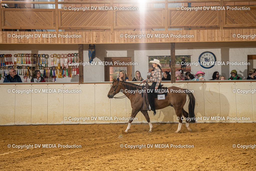 MIT00914 | dv-media-shop - Realisiert mit Pictrs.com