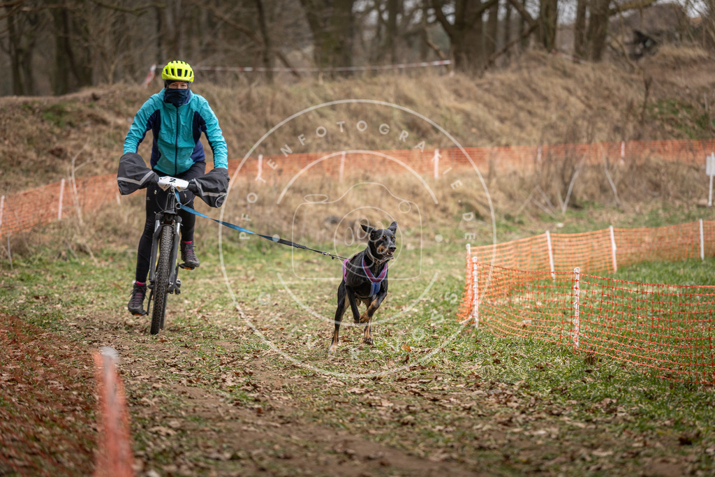 Pfotenfotografie_DV3A7001 | Hundefotografie, Tierfotograf, Pfotenfotografie, Fotoshooting Hund, Hunde Portrait, Hundesport, Hundeportraits, Heideshooting, Hunde, Sportfotograf, Hundefotograf, Turnierhundsport, THS,  - Realisiert mit Pictrs.com