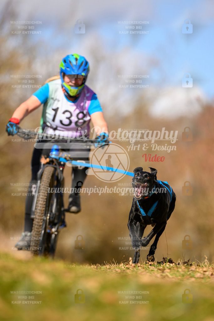 MompixPhotography_10Schwabentrail2026_SO_Bike-107 | PayLife