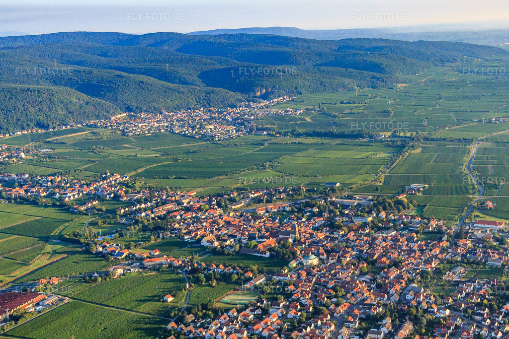 Luftbild: Ortsansicht von Südosten im Ortsteil Mußbach in Neustadt im Bundesland Rheinland-Pfalz in Deutschland. Foto: IMG_44374.jpg vom 20.08.2011 durch Werner Riehm/FLY-FOTO.deAuflösung des Originals: 4752 x 3168 px