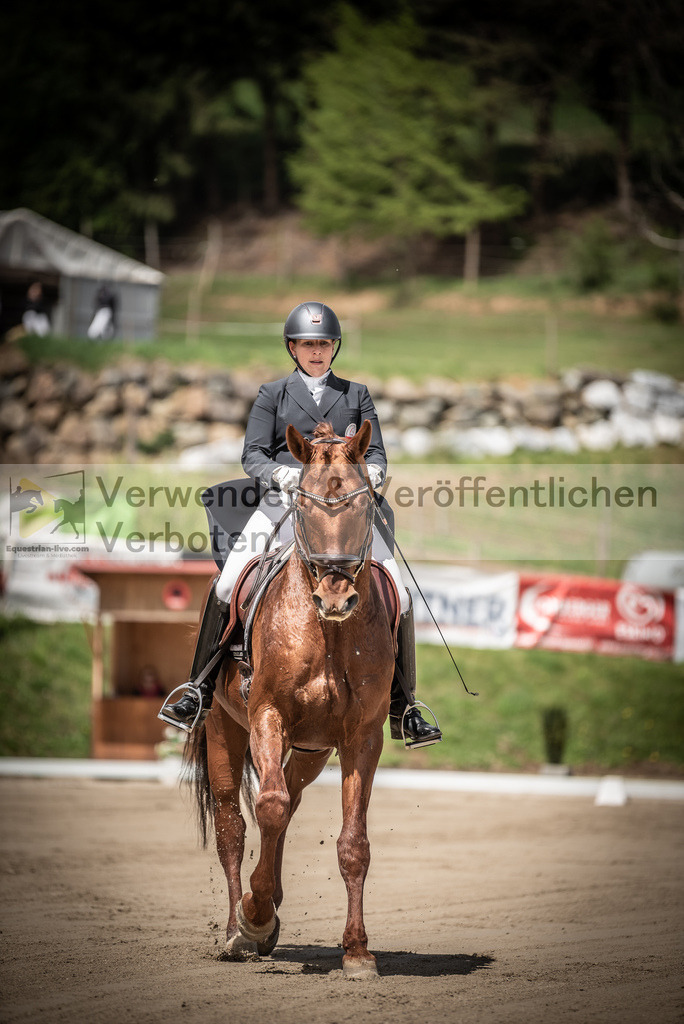 DSC_1458 | equestrian-live-com