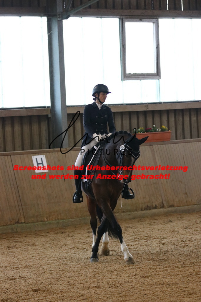 IMG_8784 | lmwpictures - Realisiert mit Pictrs.com