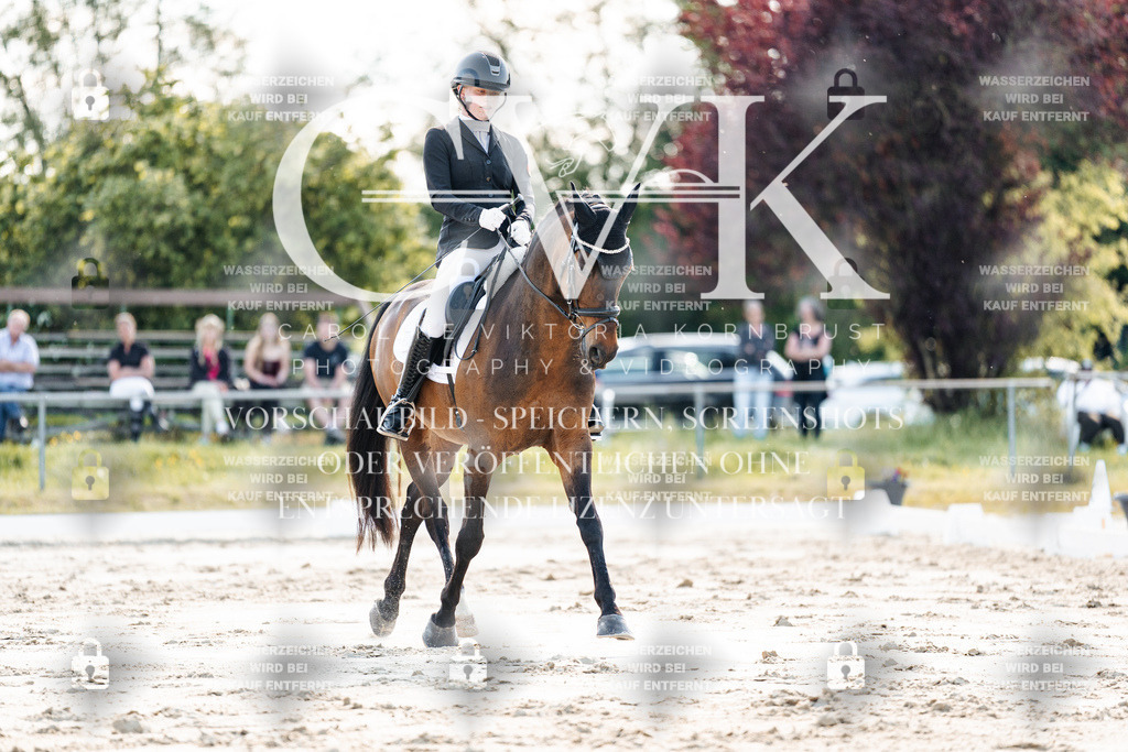 CK909509 | Turnierfotografie Pferdefotografie Trier Rheinland-Pfalz Pferdesport Reitsport Tierfotografie Sportfotografie Pferdevideo Pferdevideografie Equestrianvideography equestrianphotography  - Realisiert mit Pictrs.com