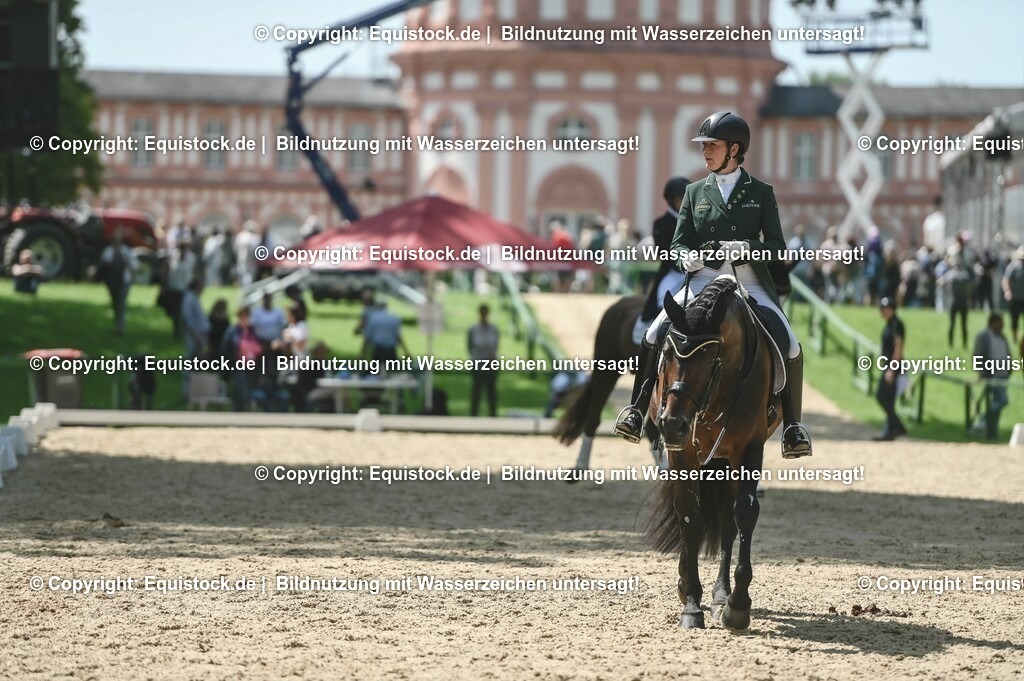 D78_2929 | equistock