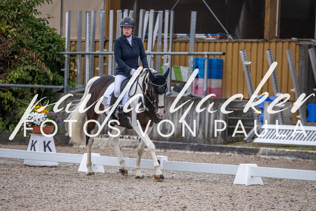 IMG_2465 | Erleben Sie dynamische Sport- und emotionale Tierfotografie in Süddeutschland mit Fotos von Paula. Spezialisiert auf Pferde- und Hundefotografie sowie Sportevents. Kontaktieren Sie mich für einzigartige und ausdrucksstarke Bilder Ihrer besonderen Momente. - Realisiert mit Pictrs.com