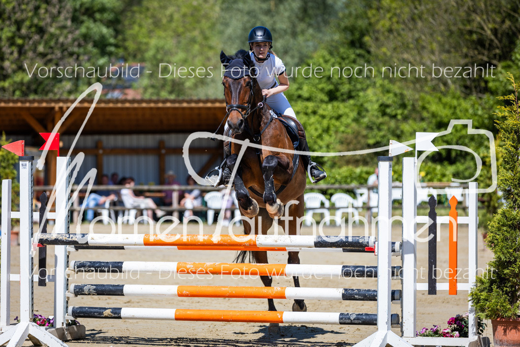 Donop24-ASprmstA-015 | MomenTaufnahmen Pferdesportfotos