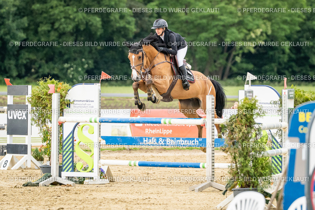 DSC06976 | Pferdegrafie