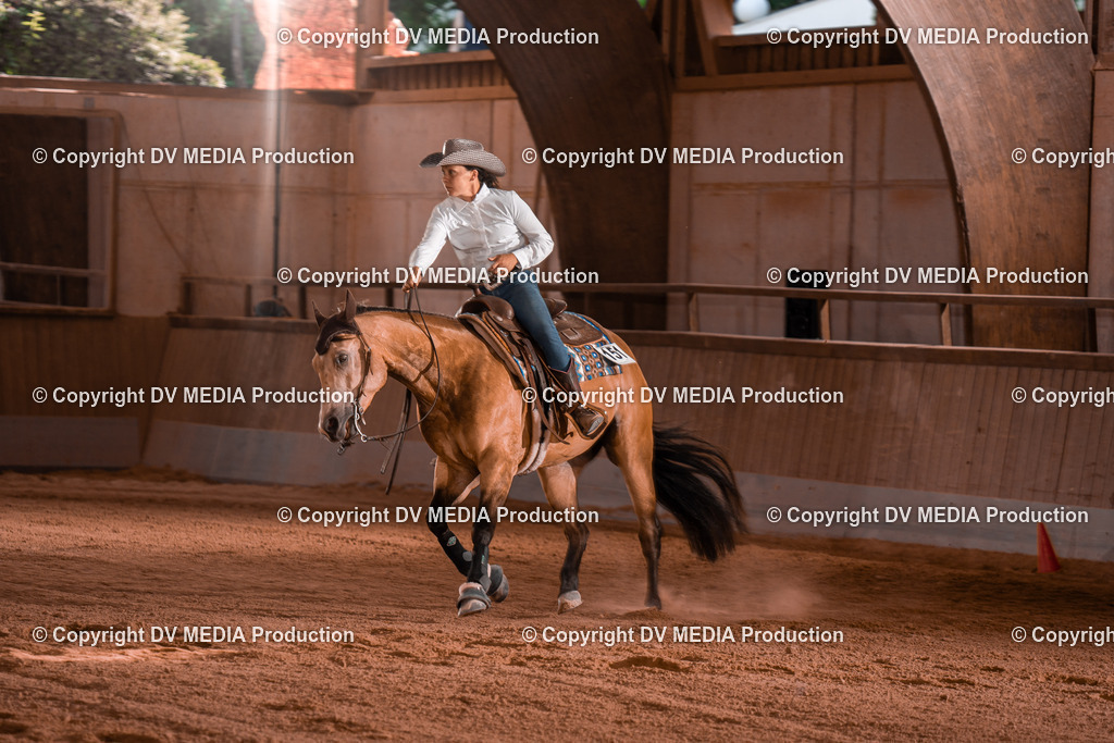 NE201216 | dv-media-shop - Realisiert mit Pictrs.com