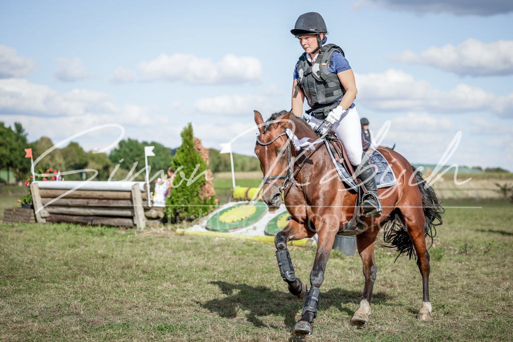 20250906-_3LI7245 | Tierfotografie Pferde, Hunde, Katzen, Haustiere.
Turnierfotografie Reitturniere, Reiten, Springreiten, Dressur in Hanau, dem Main-Kinzig-Kreis und dem Rhein-Main- Gebiet um Frankfurt