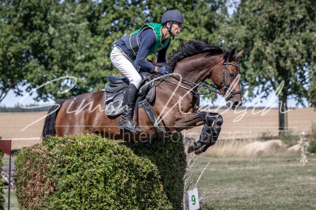 20260906-_3LI4926 | Tierfotografie Pferde, Hunde, Katzen, Haustiere.
Turnierfotografie Reitturniere, Reiten, Springreiten, Dressur in Hanau, dem Main-Kinzig-Kreis und dem Rhein-Main- Gebiet um Frankfurt