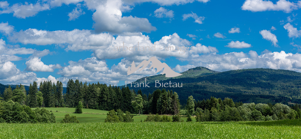 _Z5A2913-Pano | Blick über Sommerwiesen zum Grossen Rachel im Bayerischen Wald