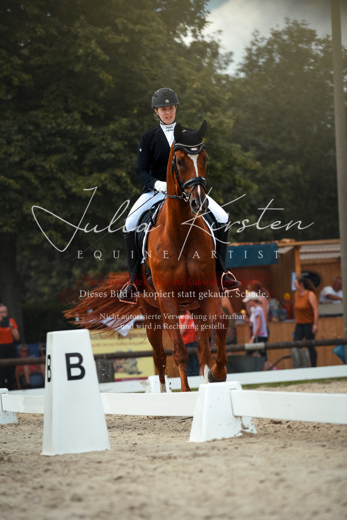DSC_9122 | Pferde- und Turnierfotografie in Westsachsen. Pferdeportraits, Auftragszeichnungen und intuitive Kunst.