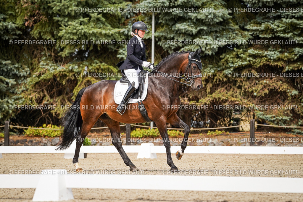 DSC06121 | Pferdegrafie