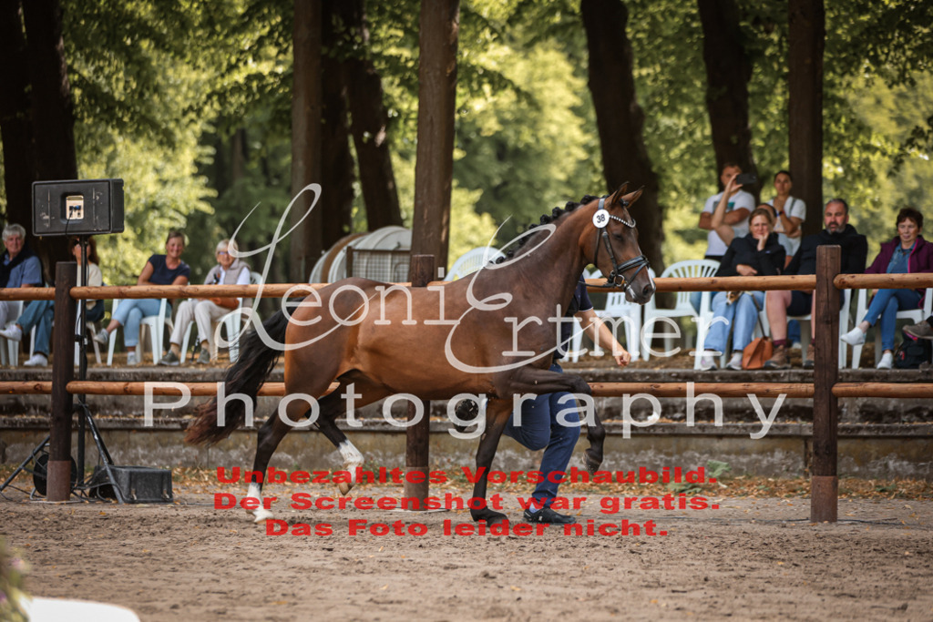 SoER00135 | Leoni Ertmer Photography - Realisiert mit Pictrs.com