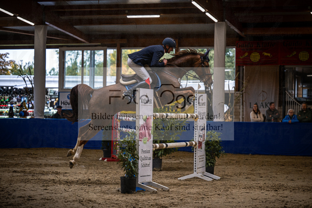 DOS_0938 | Entdecke hochwertige Reitturnierfotos von Foto Oger. Professionell, emotional und authentisch – jetzt Lieblingsmomente im Shop bestellen.Deutschlandweite Turnierfotografie. - Realisiert mit Pictrs.com