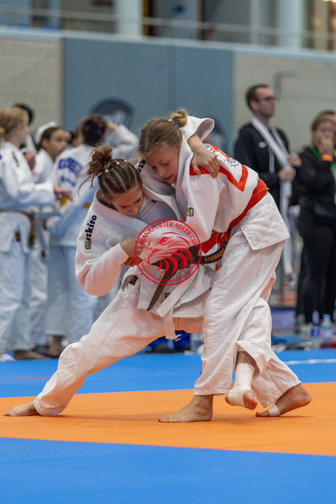 Internationaler Adler Cup 2024 | Foto vom Internationalen Adler Cup Judo Turnier im Sport- und Freizeitzentrum Kalbach im Oktober 2024 - Realisiert mit Pictrs.com