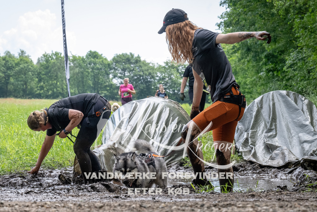 1105_ZZ91363 | kk-dogfotos