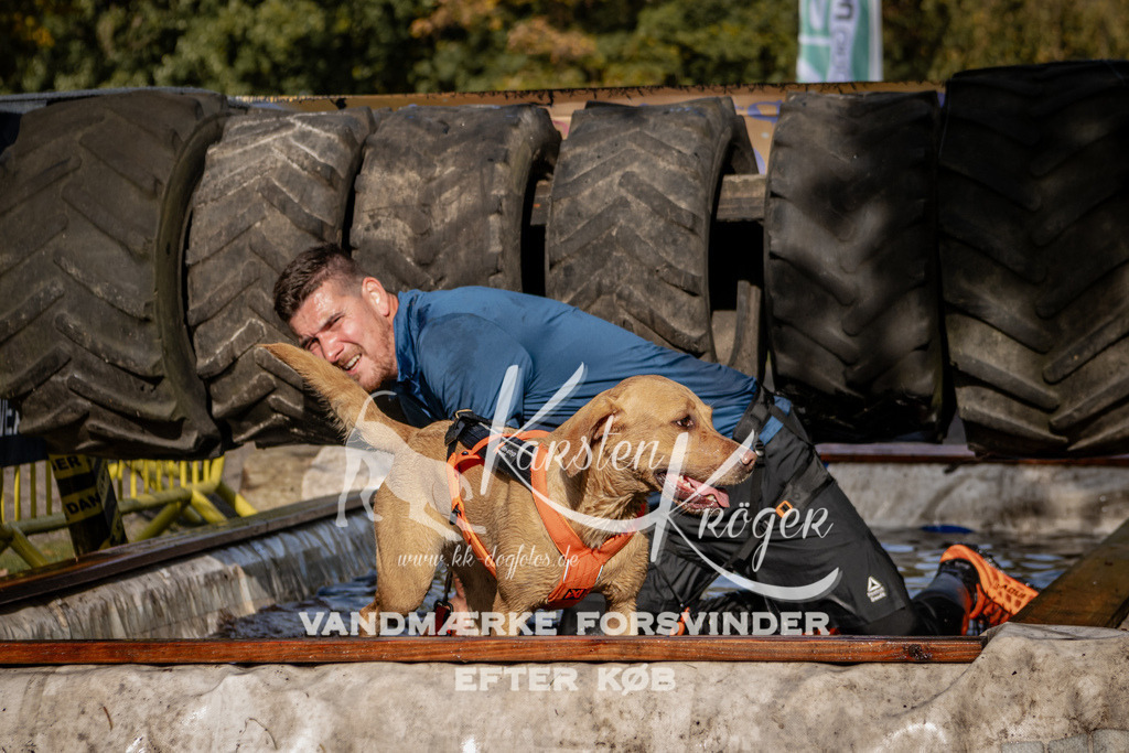 1311_ZZ92152 | kk-dogfotos