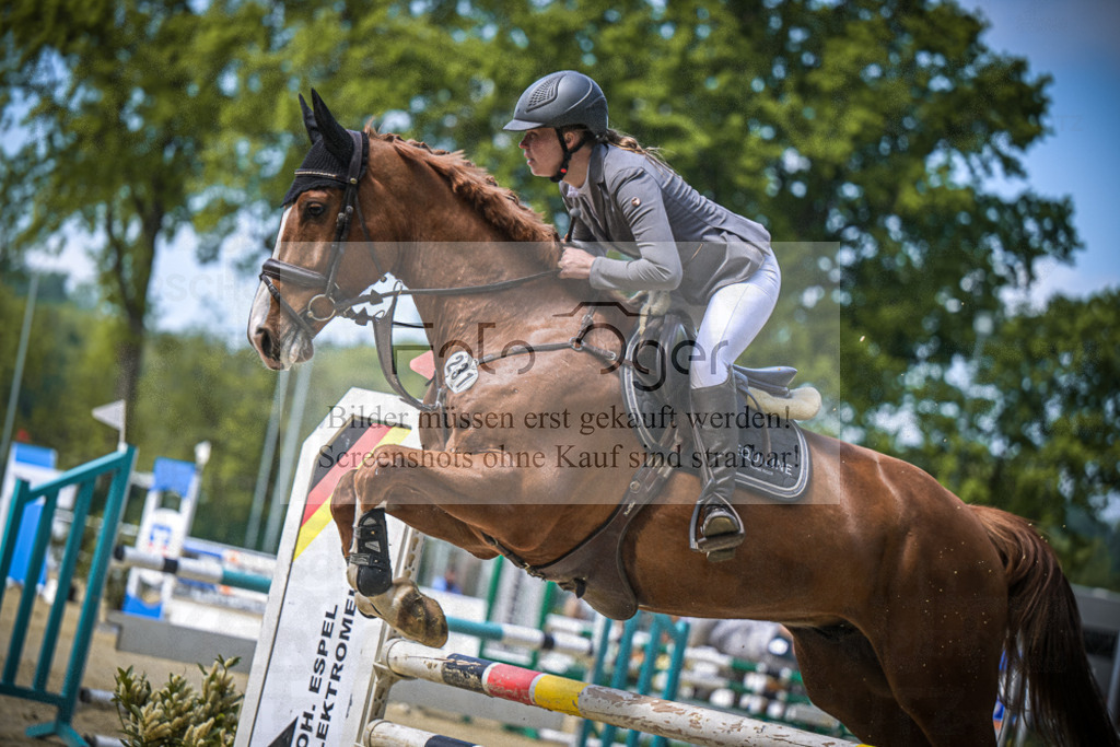 DOS_8121 | Entdecke hochwertige Reitturnierfotos von Foto Oger. Professionell, emotional und authentisch – jetzt Lieblingsmomente im Shop bestellen.Deutschlandweite Turnierfotografie. - Realisiert mit Pictrs.com